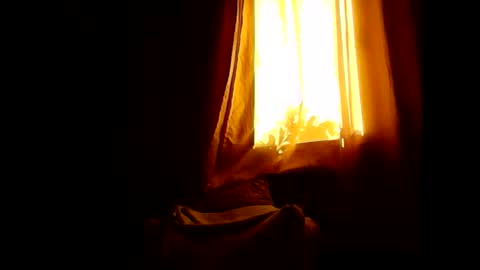 Opree online show from January 31, 7:11 pm