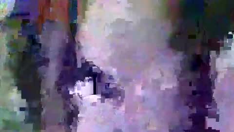 Snapshot of oretrail chatting on February 11, 5:37 am oretrail online show from February 11, 5:37 am