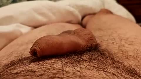 Paulo online show from November 29, 10:06 pm