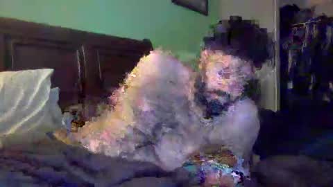 p_a1996 online show from March 21, 7:36 am