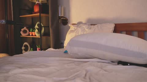 Kimlovense is activeThere are legends that in this room all your wishes can come true  Private is Open online show from March 7, 4:07 pm