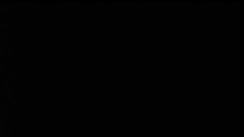 pamela online show from February 2, 3:09 pm