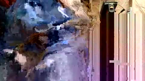 papajb70 online show from September 10, 2:23 am