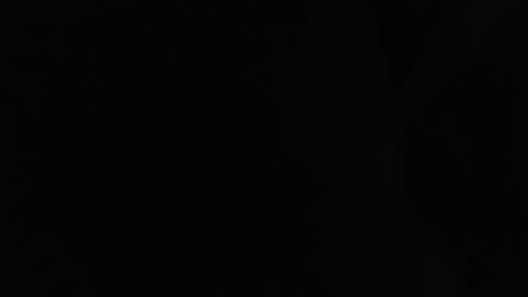 parrotpenis1 online show from December 17, 5:51 am