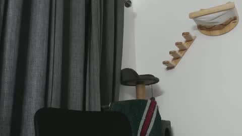 pasexhibe online show from February 22, 2:48 am