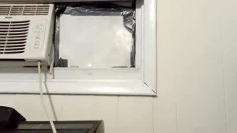 Snapshot of pato0008 chatting on March 1, 10:13 am JD online show from March 1, 10:13 am