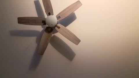 patrick247288 online show from September 20, 4:15 am