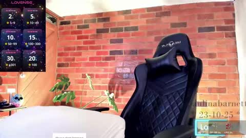 Snapshot of paulinabarnett_ chatting on October 23, 2:18 pm Paulina online show from October 23, 2:18 pm