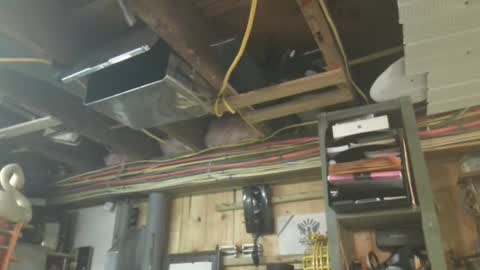 paulstetson online show from October 11, 7:24 am