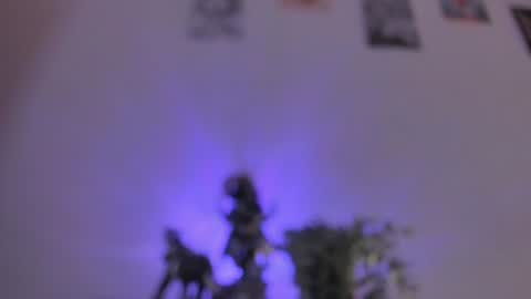 Dani online show from August 2, 2:41 pm