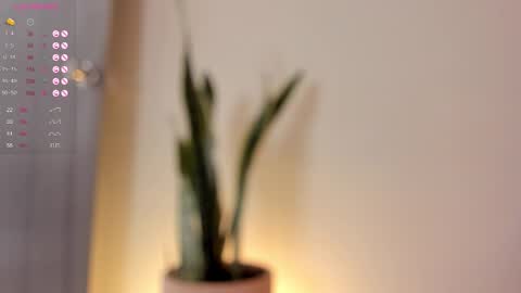 Dani online show from November 8, 6:55 pm