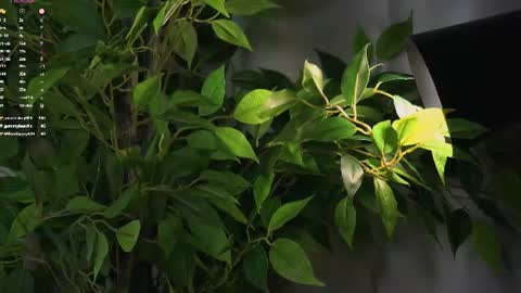 Beautiful Mila online show from July 7, 6:47 am