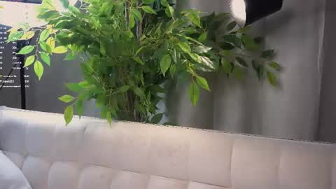 Beautiful Mila online show from June 26, 5:13 am