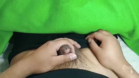 Penils online show from April 20, 12:30 pm