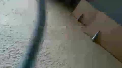 perales_12345 online show from November 9, 2:53 pm