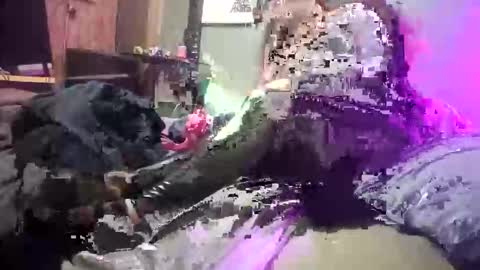 9072523824 online show from January 11, 3:18 pm