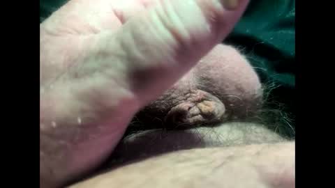 petrol63102 online show from April 7, 6:32 pm