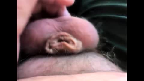 petrol63102 online show from April 12, 12:42 pm