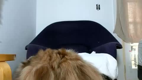 Snapshot of phattbooty80 chatting on December 9, 5:52 pm TheSkyeWoods online show from December 9, 5:52 pm