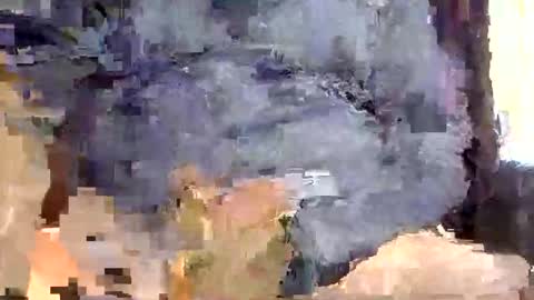 phill268 online show from February 9, 7:16 pm