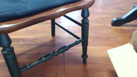 Phinfan online show from February 13, 10:24 pm