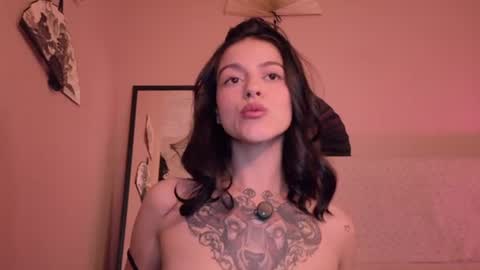 phoenixx_x online show from June 23, 2:41 am