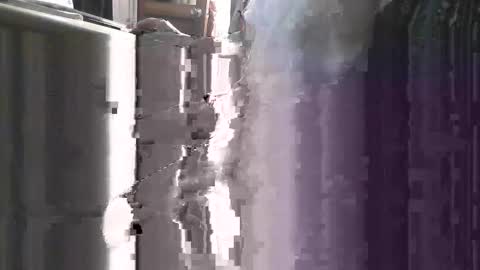 pickle996 online show from October 31, 9:32 am