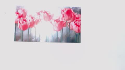 pinky_f00x online show from March 28, 7:59 pm