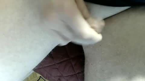 pippo online show from February 2, 11:40 am