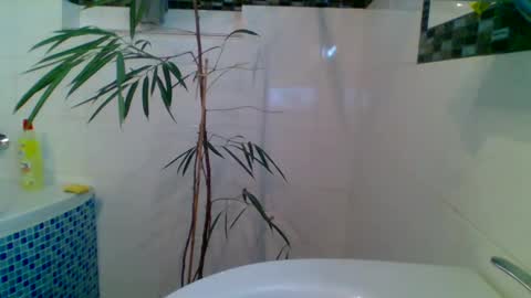 Snapshot of piwo58 chatting on March 6, 6:37 pm piwo58 online show from March 6, 6:37 pm