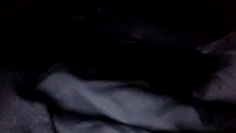 theestallion online show from March 23, 3:11 am