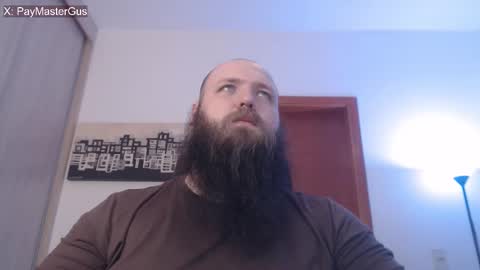 Bear online show from November 26, 4:32 am