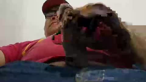 poli online show from March 30, 11:43 am