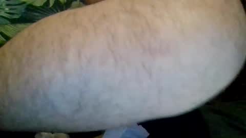 Puppy online show from March 9, 5:12 am