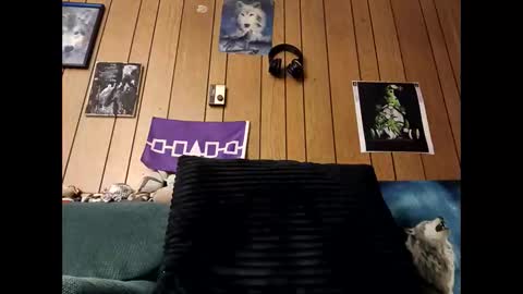 Snapshot of prettysolid7 chatting on October 9, 1:44 am prettysolid7 online show from October 9, 1:44 am