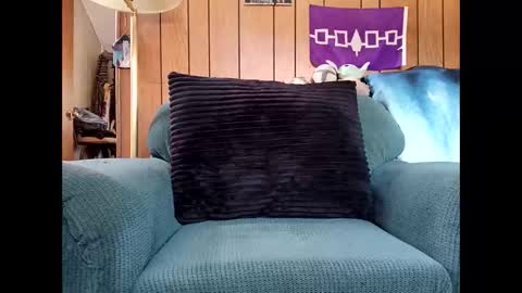 Snapshot of prettysolid7 chatting on October 6, 3:08 pm prettysolid7 online show from October 6, 3:08 pm