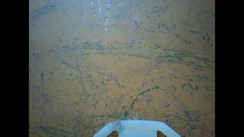 prettyxxpac online show from March 31, 11:43 am