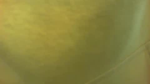 princetonbar55 online show from February 7, 7:06 pm