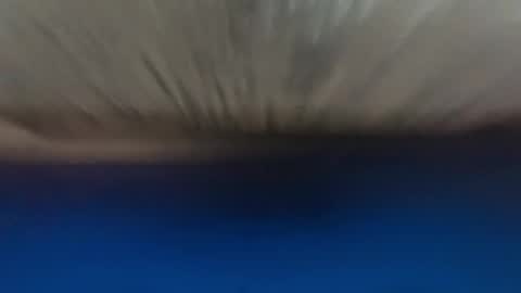 Prism online show from January 16, 11:58 pm