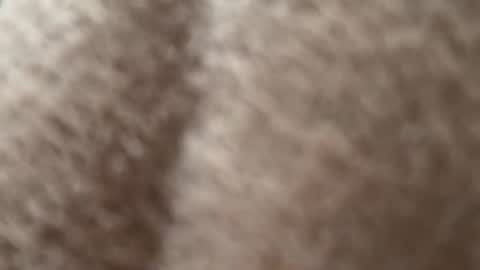 Oli online show from June 26, 8:58 pm