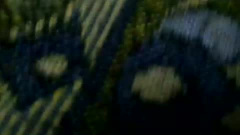 TellMePsyco online show from August 2, 8:38 am
