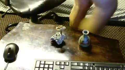 Jojo online show from November 4, 8:48 am