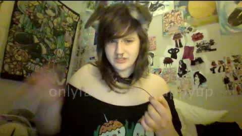 Tboy Puppy online show from September 12, 8:27 am