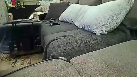 Alpha Pup Sparky online show from April 8, 6:16 am