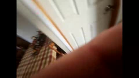 Snapshot of purdyguy7777 chatting on February 5, 5:53 pm purdyguy7777 online show from February 5, 5:53 pm