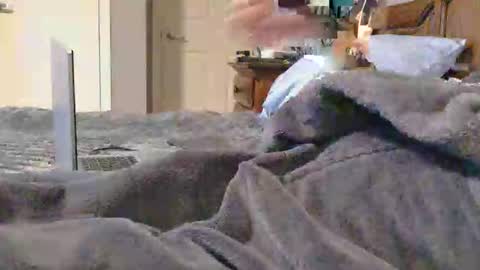 Snapshot of purdyguy7777 chatting on October 8, 5:19 pm purdyguy7777 online show from October 8, 5:19 pm