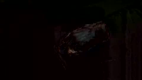 pussydude online show from January 14, 2:36 pm