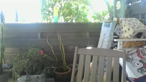 Python online show from February 2, 4:05 am