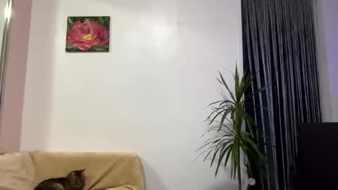 Viktoria online show from January 28, 12:32 pm