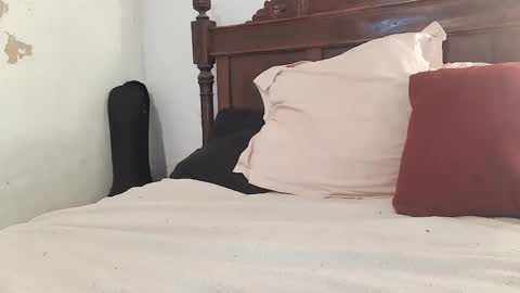 Ran online show from February 7, 12:17 pm